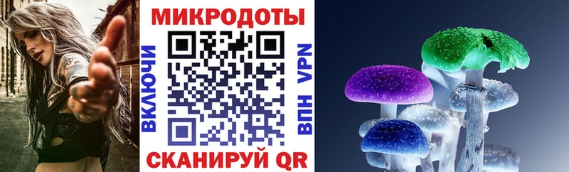 Псилоцибиновые грибы Psilocybe  дарнет шоп  Сысерть 